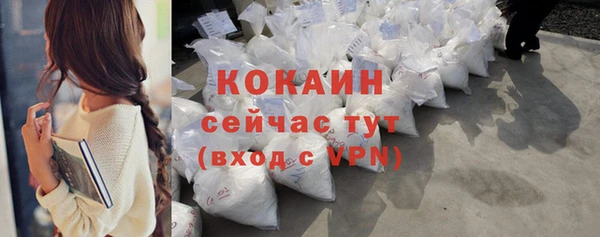 дживик Белокуриха