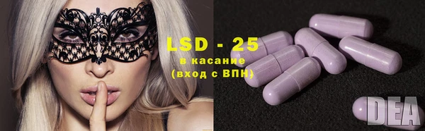 дживик Белокуриха