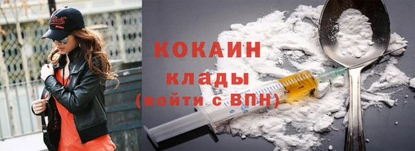 дживик Белокуриха